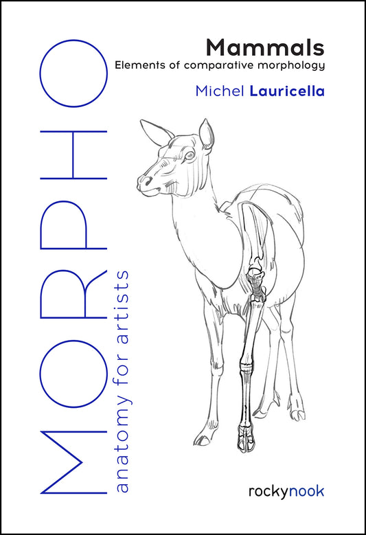 Rocky Nook Morpho Anatomy for Artists How-To-Books