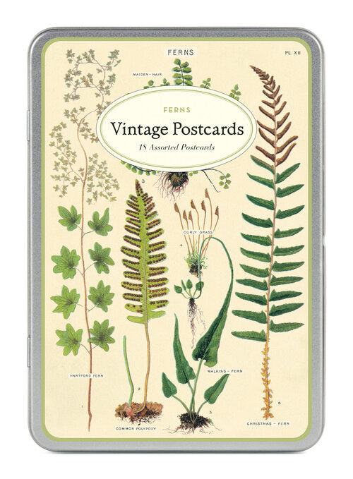 Cavallini & Co Vintage Inspired Postcards in Tins