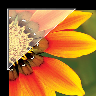 Lineco Mylar Photo Corners