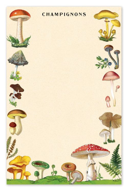 Cavallini & Co Vintage Inspired Notepads