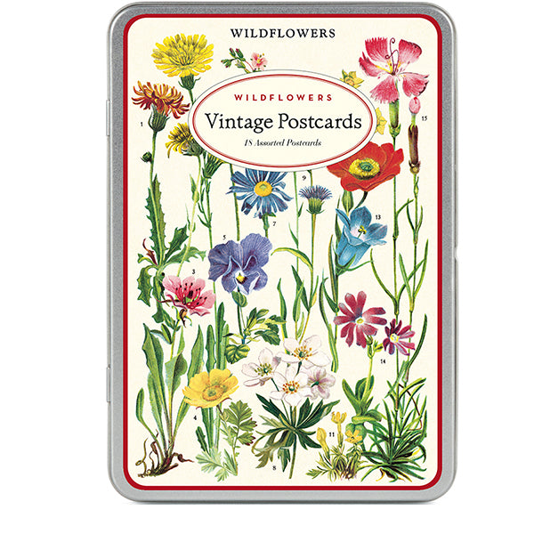 Cavallini & Co Vintage Inspired Postcards in Tins