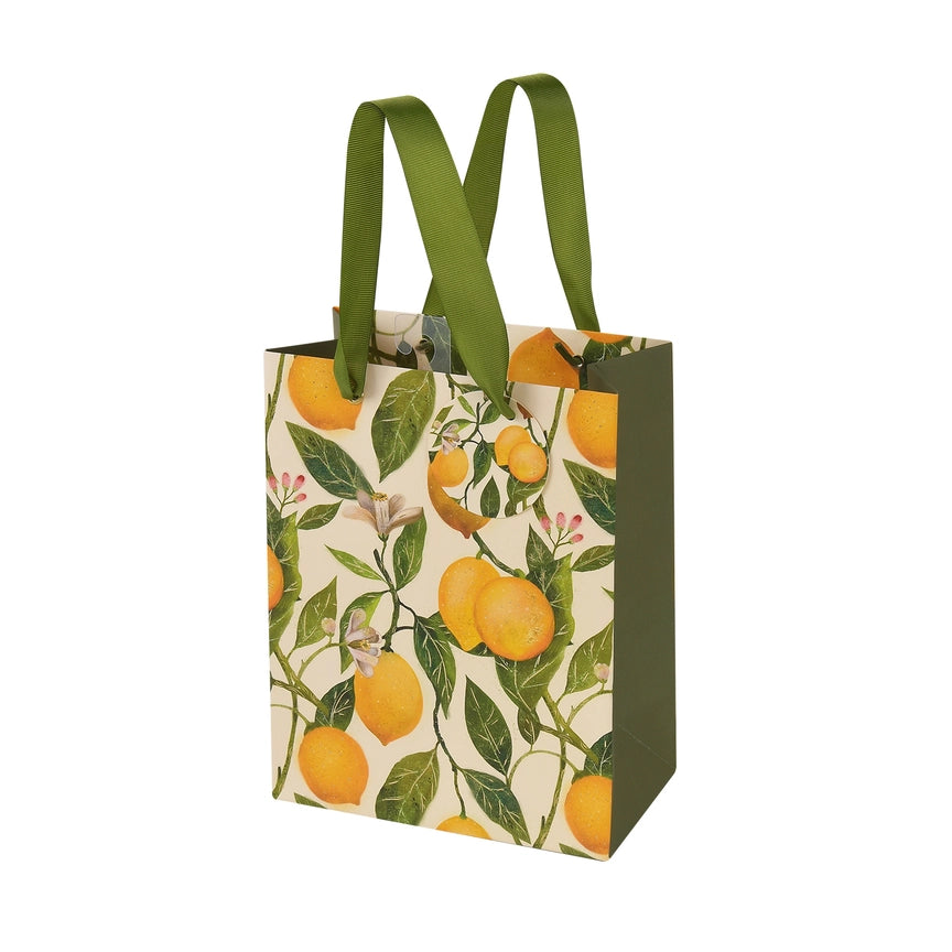 Bruno Visconti BV Gift Bags