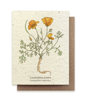 Small Victories Plantable Greeting Cards