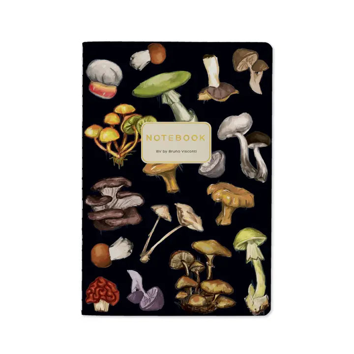 Bruno Visconti BV Notebooks