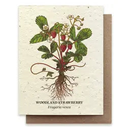 Plantable Greeting Cards Strawberry