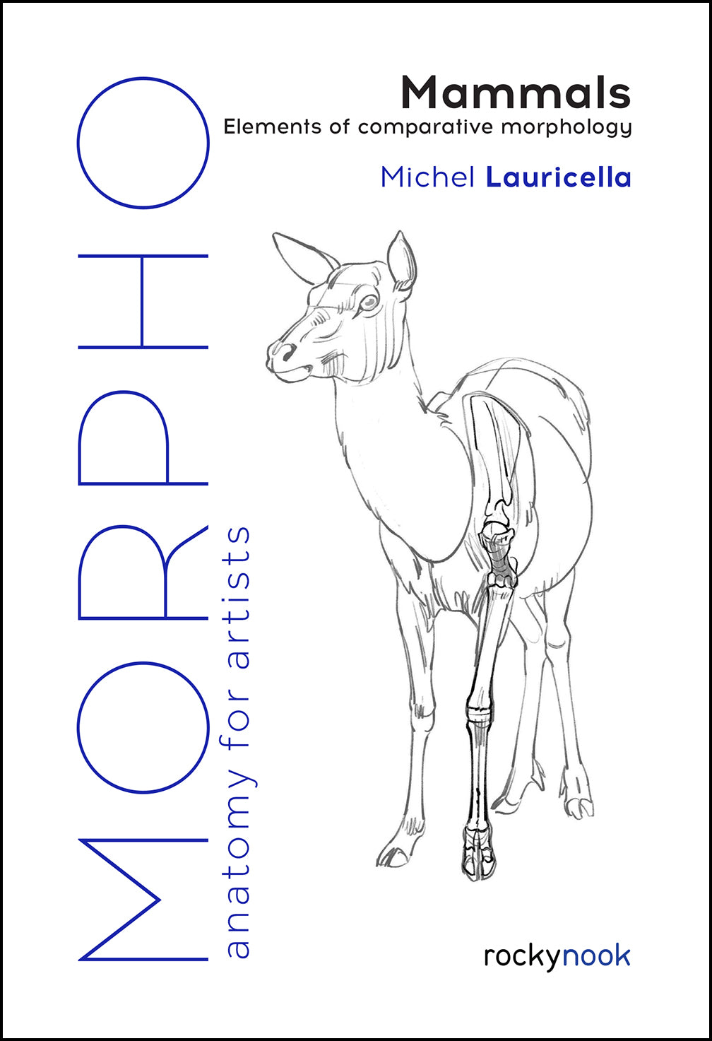 Rocky Nook Morpho Anatomy for Artists How-To-Books