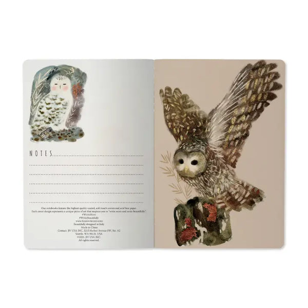 Notebook Owls