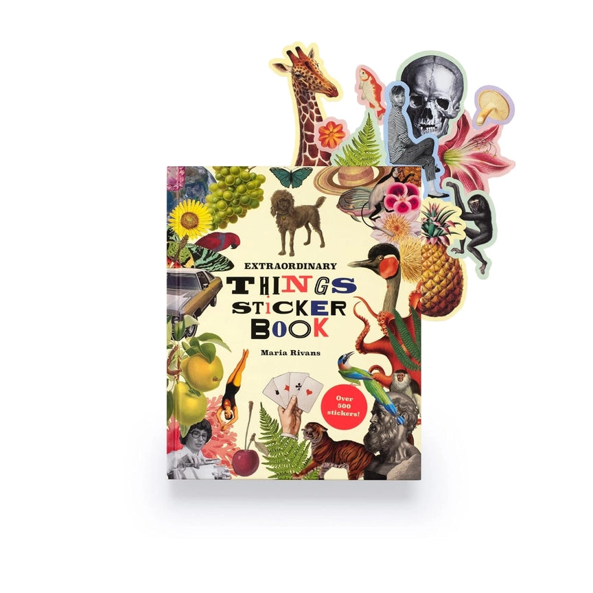 Chronicle Books Extraordinary Things Sticker Book