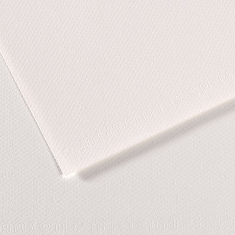 Canson 19in x 25in Artist Series Mi-Teintes Sheets