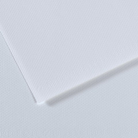Canson 19in x 25in Artist Series Mi-Teintes Sheets