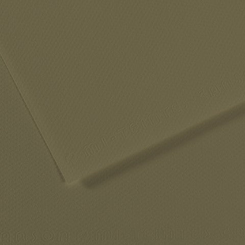 Canson 19in x 25in Artist Series Mi-Teintes Sheets