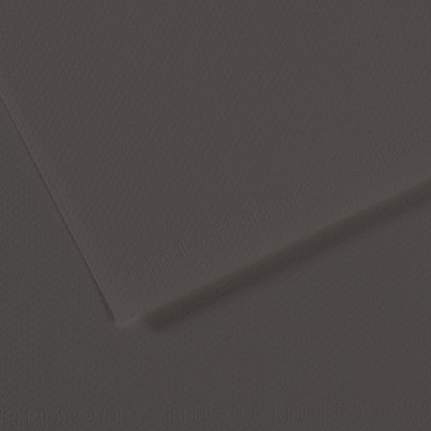 Canson 19in x 25in Artist Series Mi-Teintes Sheets