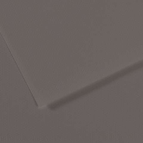 Canson 19in x 25in Artist Series Mi-Teintes Sheets