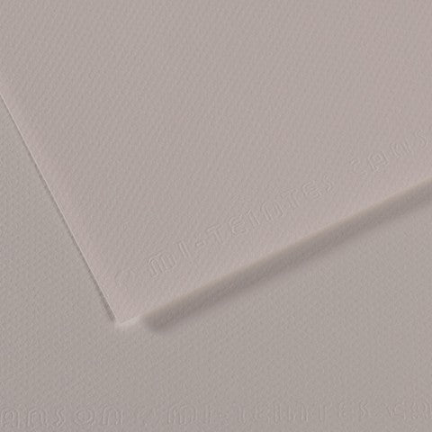 Canson 19in x 25in Artist Series Mi-Teintes Sheets