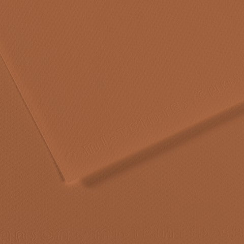 Canson 19in x 25in Artist Series Mi-Teintes Sheets