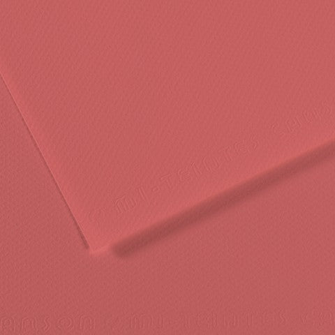 Canson 19in x 25in Artist Series Mi-Teintes Sheets