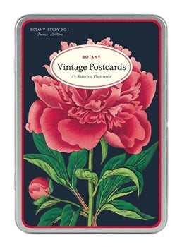 Cavallini & Co Vintage Inspired Postcards in Tins