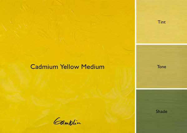 Artist Grade Oils 150ml Cadmium Yellow Medium