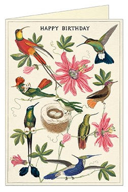 Greeting Cards Vintage Inspired Happy Birthday Hummingbird