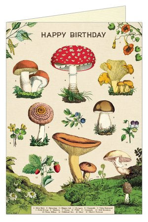 Greeting Cards Vintage Inspired Mushroom