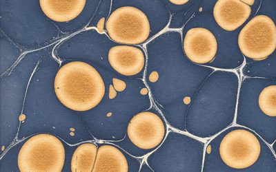 Graphic Products Molecular Paper