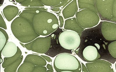 Graphic Products Molecular Paper