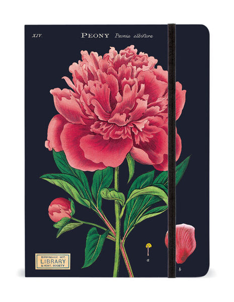 Cavallini & Co Vintage Inspired Large Notebooks