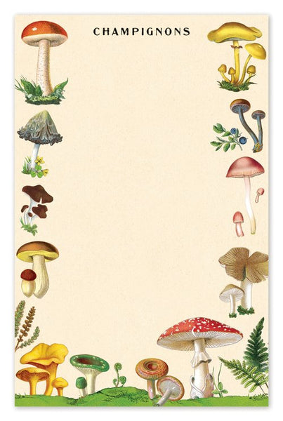 Cavallini & Co Vintage Inspired Notepads