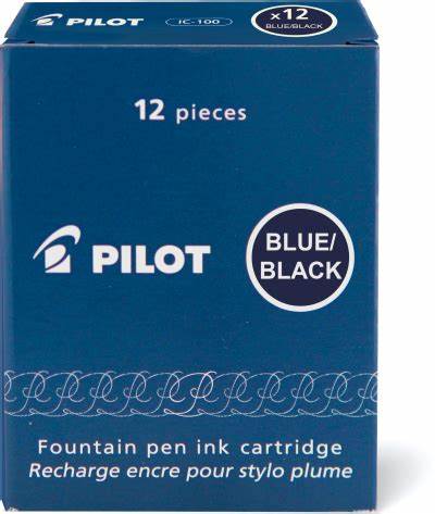 Pilot 12 Pack Ink Catridges