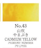 Watercolor Pan Cadmium Yellow 43