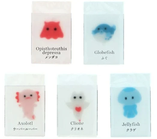 Sun Star Sea Creatures in Ice Erasers