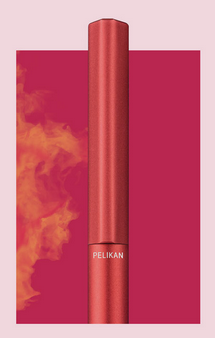 Pelikan INEO Pens
