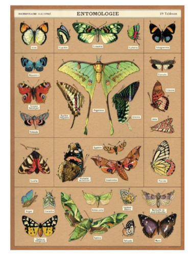 Cavallini & Co Vintage Posters