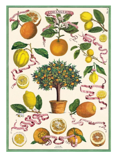 Cavallini & Co Vintage Posters