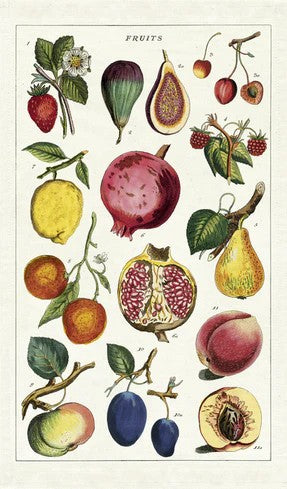 Cavallini & Co Vintage Inspired Tea Towels