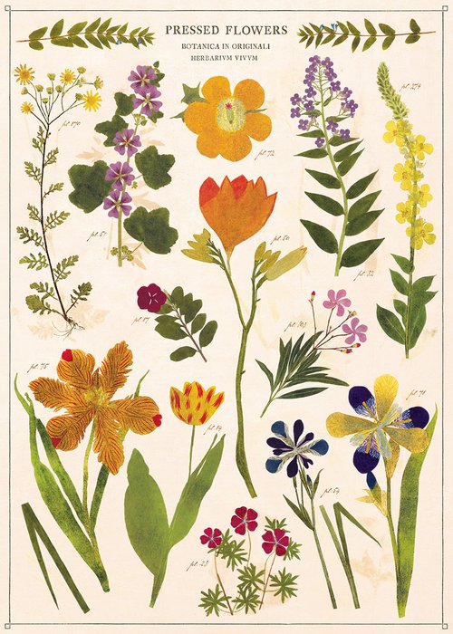 Cavallini & Co Vintage Inspired Posters