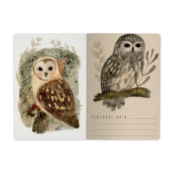 Notebook Owls