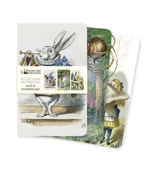 Flame Tree Publishing Alice in Wonderland Set of 3 Mini Notebooks