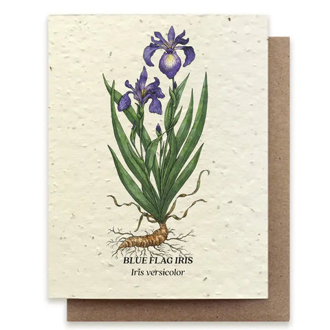 Plantable Greeting Cards Blue Flag Iris