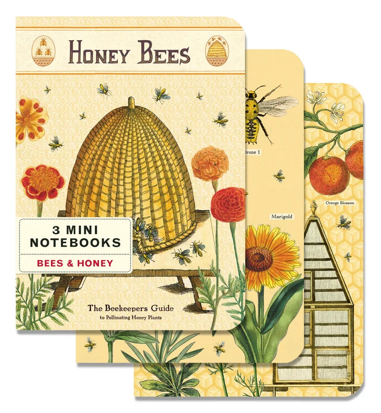Cavallini & Co Vintage Inspired Mini Notebook Sets