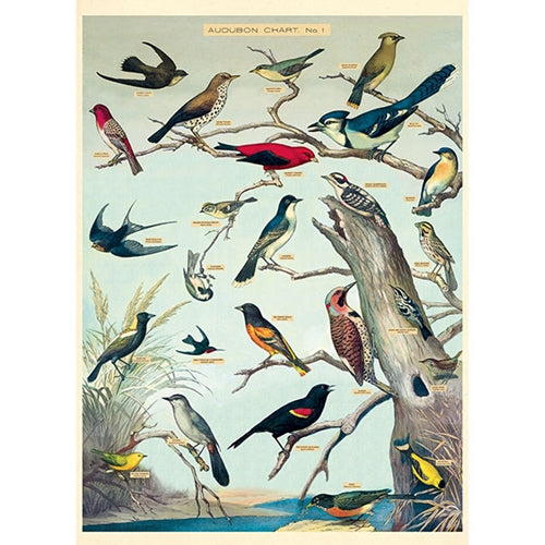 Cavallini & Co Vintage Inspired Posters