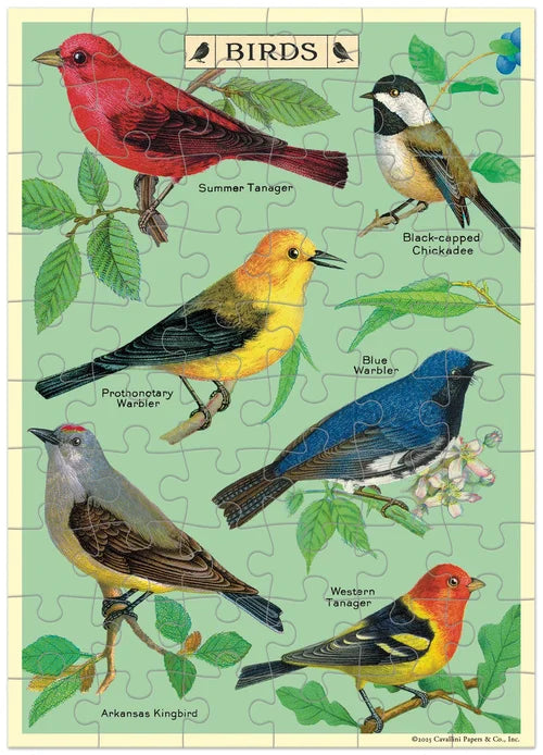 Cavallini & Co Vintage Inspired Puzzle Greeting Cards