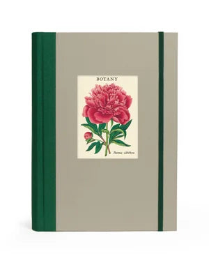 Cavallini & Co Window Journals