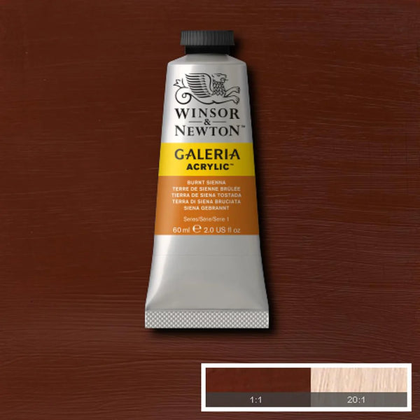 Winsor & Newton 60ml Galeria Acrylics