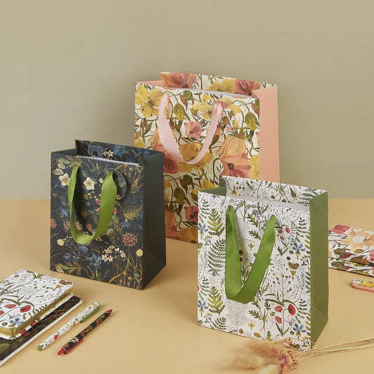 Bruno Visconti BV Gift Bags