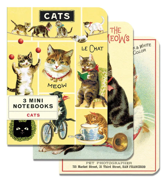 Cavallini & Co Vintage Inspired Mini Notebook Sets