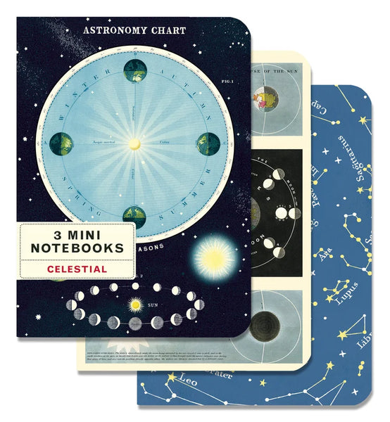 Cavallini & Co Vintage Inspired Mini Notebook Sets