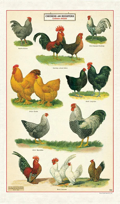 Cavallini & Co Vintage Inspired Tea Towels