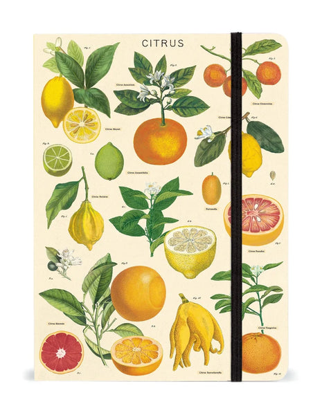 Cavallini & Co Vintage Inspired Large Notebooks