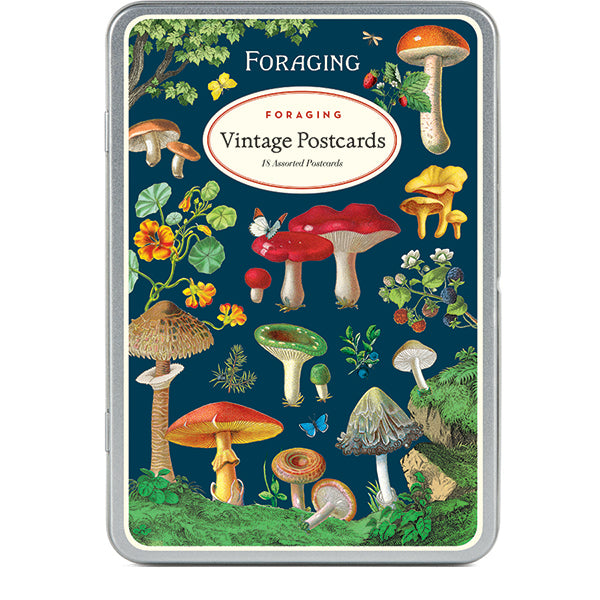 Cavallini & Co Vintage Inspired Postcards in Tins